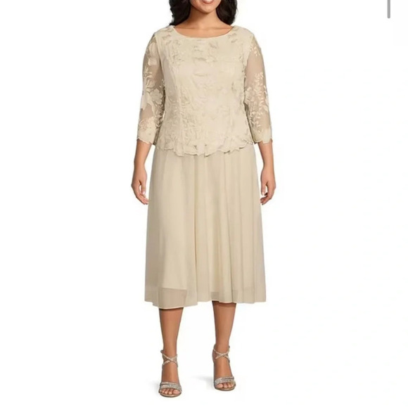 Alex Evenings Round Neck 3/4 Sleeve Floral Embroidered Stretch Mesh Dress Sz 10P - Picture 1 of 13